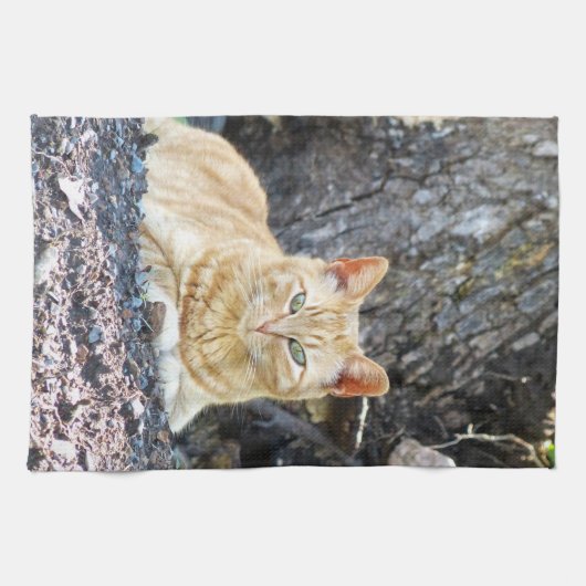 Ginger Boy Theedoek (Horizontaal)