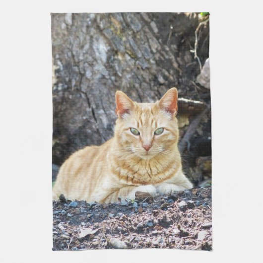 Ginger Boy Theedoek (Verticaal)