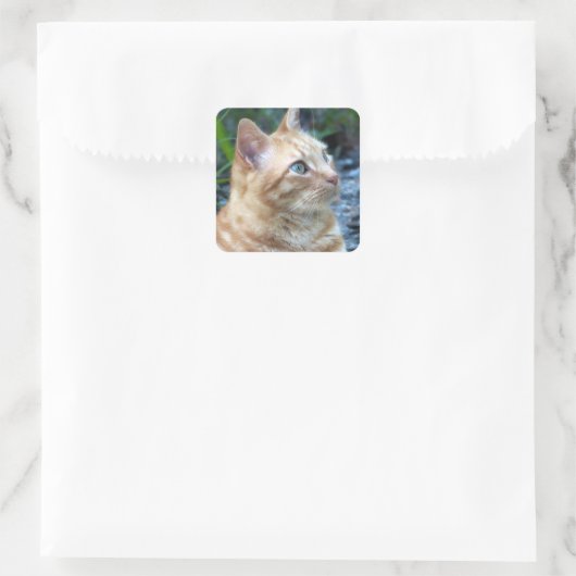 Ginger Boy Vierkante Sticker (Tas)