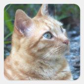 Ginger Boy Vierkante Sticker (Voorkant)