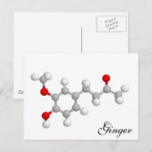 Ginger Briefkaart (Voorkant / Achterkant)