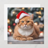 Ginger Brits Korthaar Kerstmis (Voorkant / Achterkant)