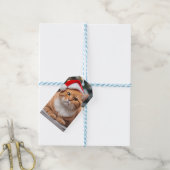Ginger Brits Korthaar Kerstmis Cadeaulabel (Met Touw)