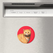Ginger Cat 3 Magnet (Insitu (Vaatwasser))