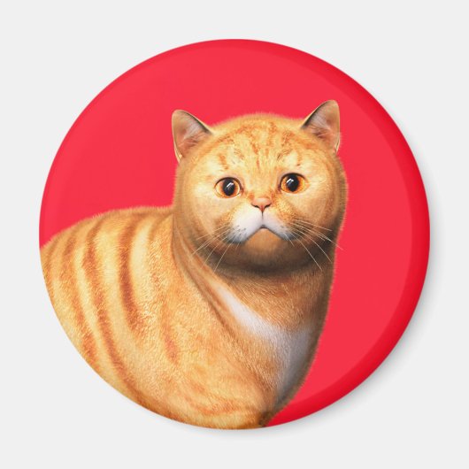 Ginger Cat 3 Magnet (Voorkant)