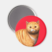 Ginger Cat 3 Magnet (Voorkant / Achterkant)
