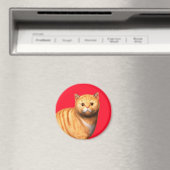 Ginger Cat 3 Magnet (Insitu (Vaatwasser))