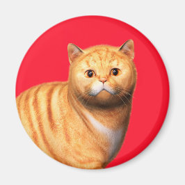 Ginger Cat 3 Magnet