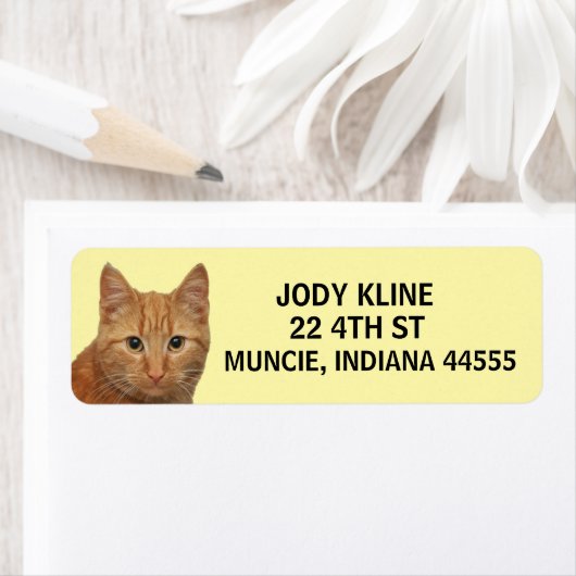 GINGER CAT-adreslabel Etiket (Insitu)