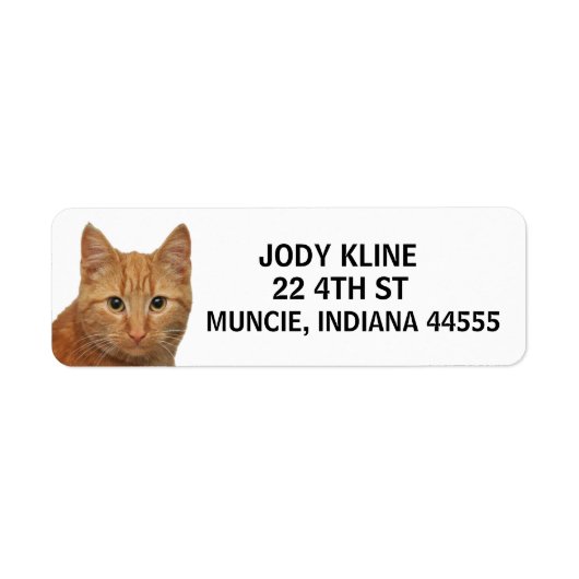 GINGER CAT-adreslabel Etiket (Voorkant)
