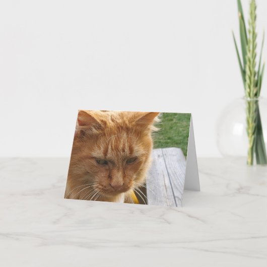 Ginger cat bedankkaart (Voorkant)