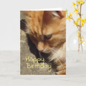 Ginger cat Birthday-kaart Kaart (Gele Bloem)