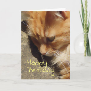 Ginger cat Birthday-kaart Kaart