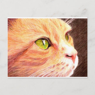 Ginger Cat Briefkaart