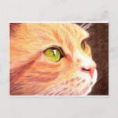 Ginger Cat Briefkaart (Voorkant)