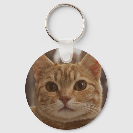 Ginger cat bruine ogen groen metaal sleutelhanger (Voorkant)