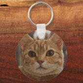 Ginger cat bruine ogen groen metaal sleutelhanger (Voorkant)