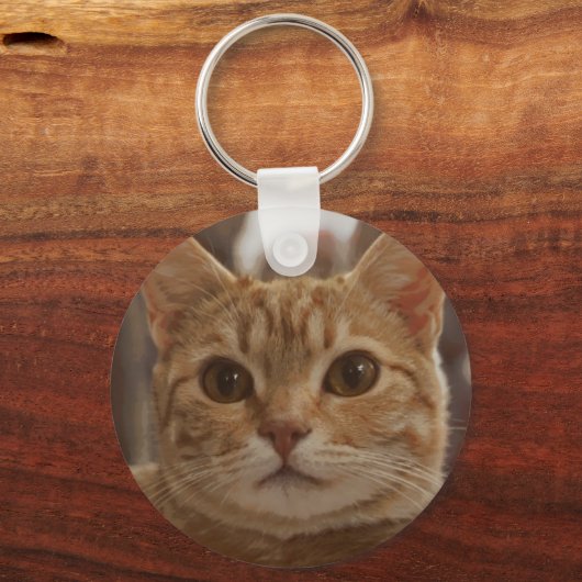Ginger cat bruine ogen groen metaal sleutelhanger (Voorkant)