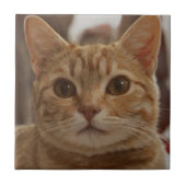 Ginger cat bruine ogen tegeltje (Voorkant)