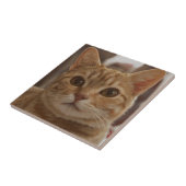 Ginger cat bruine ogen tegeltje (Zijkant)