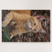 Ginger Cat Buiten Herfst Herfstbladeren Portret Legpuzzel (Horizontaal)