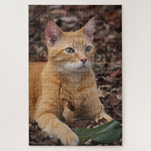 Ginger Cat Buiten Herfst Herfstbladeren Portret Legpuzzel