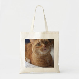 Ginger Cat Canvas tas
