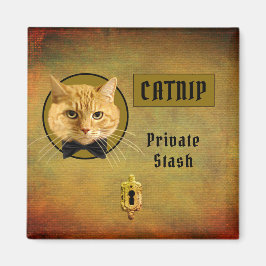 Ginger Cat  Catnip Magnet