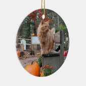 Ginger Cat en Pumpkins Ornament (Rechts)
