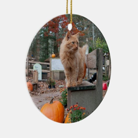 Ginger Cat en Pumpkins Ornament (Rechts)