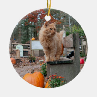 Ginger Cat en Pumpkins Ornament