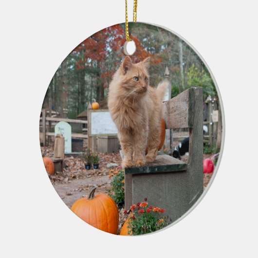 Ginger Cat en Pumpkins Ornament (Links)