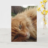 Ginger cat face kaart (Gele Bloem)