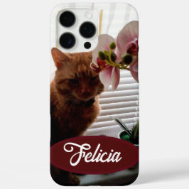 Ginger Cat foto en naam, , iPhone 16 Pro Max Hoesje