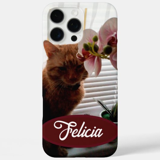 Ginger Cat foto en naam, , Case-Mate iPhone Case (Achterkant)