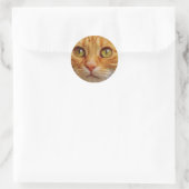 Ginger Cat foto Ronde Sticker (Tas)