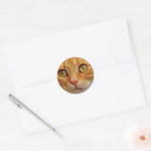 Ginger Cat foto Ronde Sticker (Envelop)