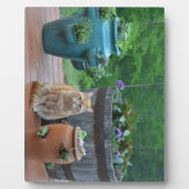 Ginger Cat Fotoplaat (Voorkant)