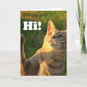 Ginger Cat Gezegde Hoi! Kaart (Voorkant)