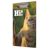 Ginger Cat Gezegde Hoi! Klembord (Links)