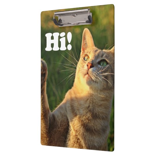 Ginger Cat Gezegde Hoi! Klembord (Links)