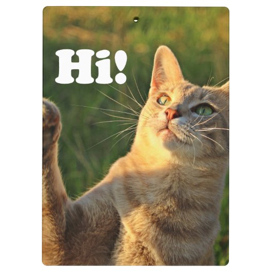 Ginger Cat Gezegde Hoi! Klembord (Achterkant)