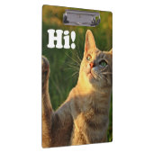 Ginger Cat Gezegde Hoi! Klembord (Rechts)