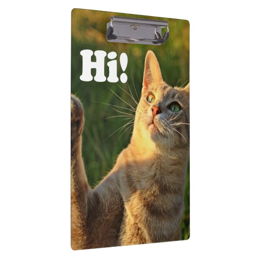 Ginger Cat Gezegde Hoi! Klembord (Rechts)