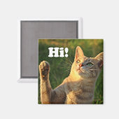 Ginger Cat Gezegde Hoi! Magneet (Voorkant / Achterkant)