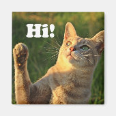 Ginger Cat Gezegde Hoi! Magneet (Voorkant)