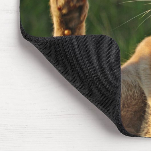 Ginger Cat Gezegde Hoi! Muismat (Hoek)