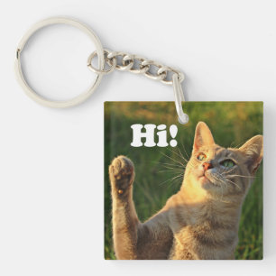 Ginger Cat Gezegde Hoi! Sleutelhanger