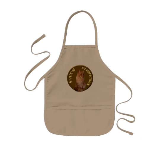 Ginger Cat Gold Coin, Kinder Apron Schort (Voorkant)