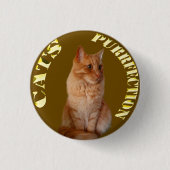 Ginger Cat Gold Coin, Round Badge Ronde Button 3,2 Cm (Voorkant)